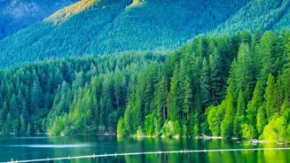 Boost Your Life: 9 Ways to Practice Mindfulness