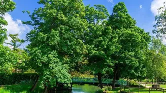 Unlock Travel Secrets: Best Time to Visit