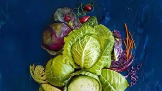 Unlock Your Culinary Creativity Now