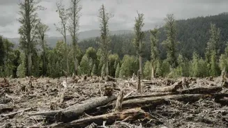 Can We Solve Earth's Climate Problems?