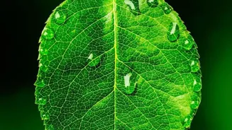 Climate Change: 10 Shocking Catastrophe Facts