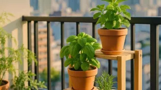 Urban Gardeners Can Grow Happiness With Herbs.