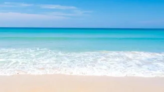 Water's Benefits: Wellness Tips Revealed