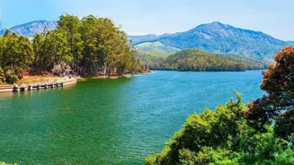 Nature's Wonders Unveiled in Thriving Ecosystems