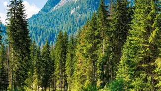 Adventure Travel Tips for Beginners Await!