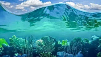 Explore 10 Enigmatic Wonders of Nature