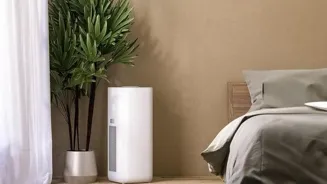 Find The Perfect Purifier For Your Needs