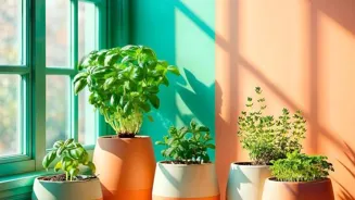 Grow a Blooming Indoor Oasis!