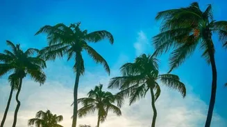 Plan Your Best Family Vacation With These Tips