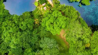 Travel Sustainably To Help The Planet Thrive
