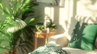 Go Green at Home on a Budget With These Tips