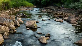 Explore India's Top 5 Eco-Friendly Escapes