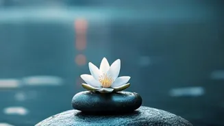 Meditate to Transform Your Thinking Today