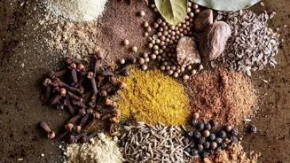 Indian Street Food: A Cultural Taste!