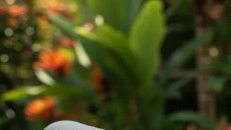 Optimism Boosts Your Health, Live a Big Life