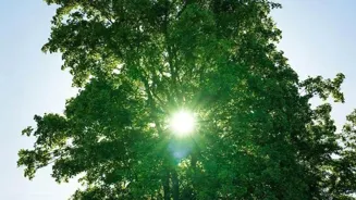 Power Up Your Day: 7 Natural Energy Secrets