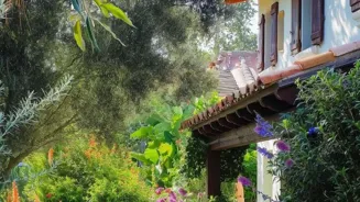 Gardening Improves Mental And Physical Health