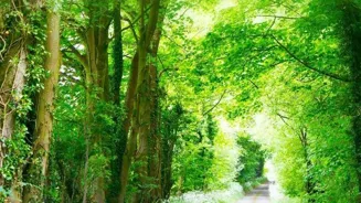 Walking Daily Has 10 Great Benefits