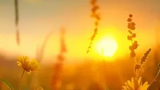 Radiant Life: 10 Habits Can Bring Happiness
