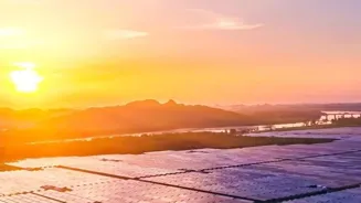 Creative Ideas Can Solve Climate Crisis