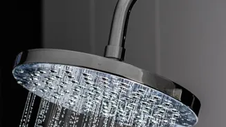 Cold Showers: 7 Reasons To Take The Plunge
