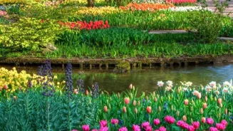 Boost Your Garden With 10 Beautiful Plants