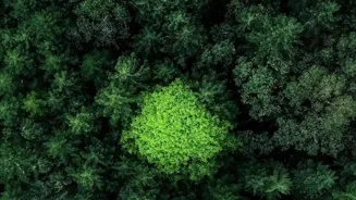 Tech Innovations Drive Environmental Progress