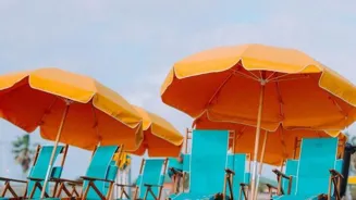 Fun Family Beach Trips and Hidden Gems Revealed