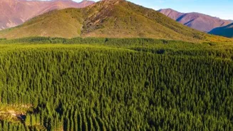Thrill Your Life: 10 Outdoor Activities Await!