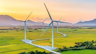 Sustainable Businesses Lead the Revolution