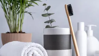 Go Green: 10 Easy Eco-Friendly Daily Tips