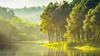 Meditate Daily for a Better Everyday Life