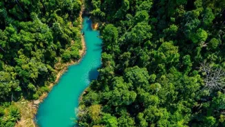 Travel Green: Sustainable Secrets Revealed