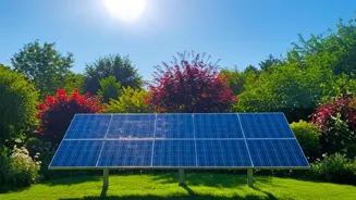 Go Green: 6 Easy Steps for Eco-Friendly Living