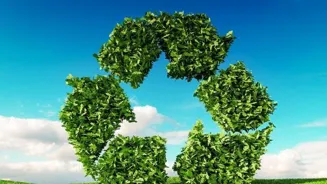 Reduce Food Waste, Eat Healthier Meals