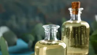 Aromatherapy: Can Oils Transform Your Life?