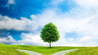 Ethics Can Boost Your Career Growth Now