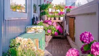 Urban Garden Tools Boost City Oasis Growth
