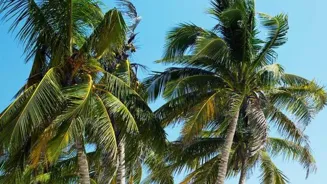 Group Travel Made Easy: Top 10 Tips Inside!