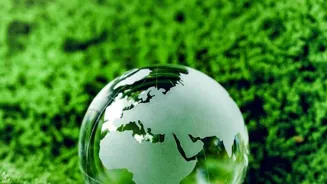 Go Green, Grow Profits: 6 Eco Business Tips