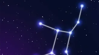 Can Zodiac Signs Guide Your Career Path?