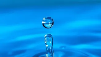 Stay Hydrated: Expert Tips for Drinking Water