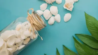 Are Dietary Supplements Fact or Fiction?