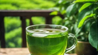 Green Tea: Drink It For Health And Happiness