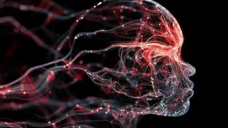 Flavor Explained: How Your Brain Creates Taste