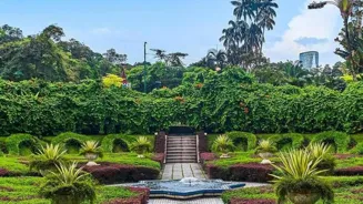 7 Eco-Hacks for a Sustainable, Serene Life