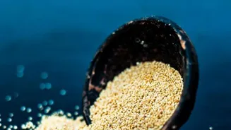 Quinoa: Is This Grain Really a Protein Star?
