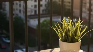 Boost Your Productivity With These 10 Habits
