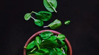 Add Spinach to Your Meals for a Delicious Twist