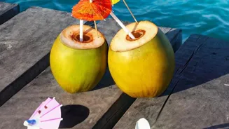 Make Delicious Dishes with Coconut Recipes